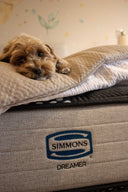 Cómo elegir el colchón perfecto para ti