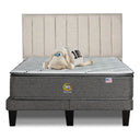 Cama Europea Serta Serene 2 Plazas Box Respaldo Tibet Arena - confort superior y base firme para un sueño reparador
