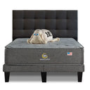 Cama Europea Serta Smartcomfort King Respaldo Tignes Marengo - confort superior y base firme para un sueño reparador