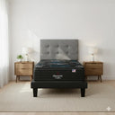 Cama Europea Beautyrest Dolphin 1.5 Plazas Box