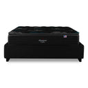 Cama Europea Bignest Beautyrest Dolphin 2 Plazas Box Marengo