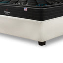 Cama Europea Bignest Beautyrest Dolphin 2 Plazas Box Arena