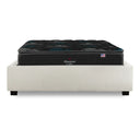 Cama Europea Bignest Beautyrest Dolphin King Arena